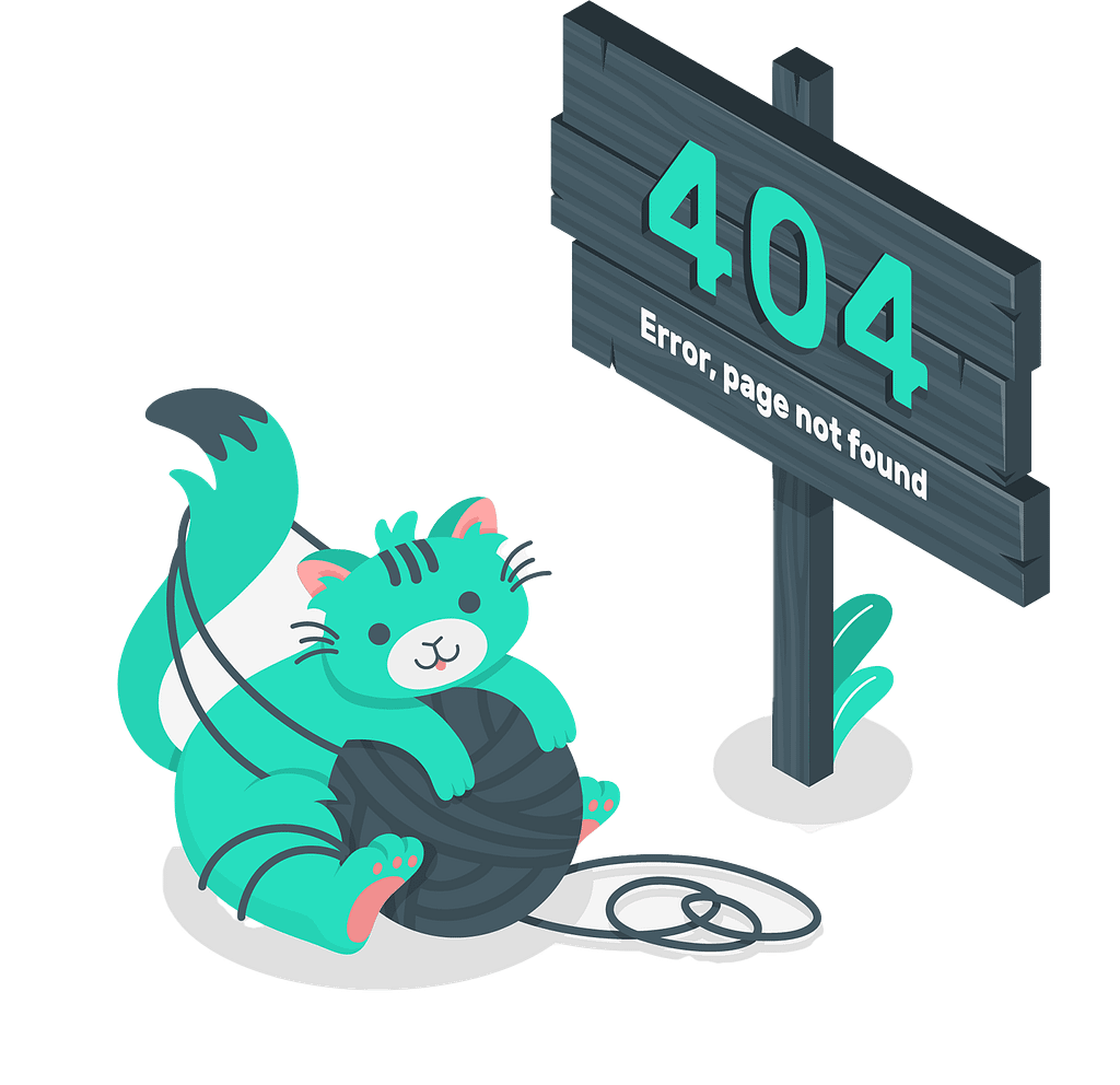 404 Cat